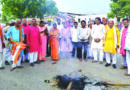 भाजपा किसान मोर्चा ने किया नरेश टिकैत का पुतला दहन