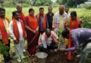 विश्व पर्यावरण दिवस पर भाजपा ने  “एक पेड़ मां के नाम” अभियान के तहत बासुकीनाथ में किया पौधरोपण कार्यक्रम