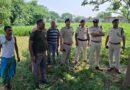 अररिया गांव में पेड़ से लटका मिला किशोर का शव, जांच में जुटी पुलिस