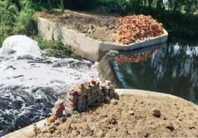 बिहार के दरभंगा में जल-जीवन-हरियाली अभियान से हरसिगपुर में लौटी खुशहाली, चेक डैम से खत्म हुआ जल संकट