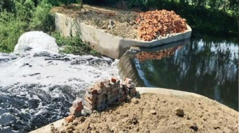 बिहार के दरभंगा में जल-जीवन-हरियाली अभियान से हरसिगपुर में लौटी खुशहाली, चेक डैम से खत्म हुआ जल संकट