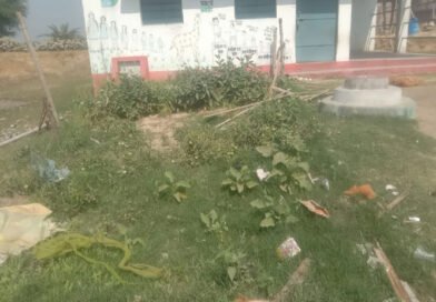 पोषण वाटिका को असामाजिक तत्वों ने उजाड़ा,थाना में दी सूचना