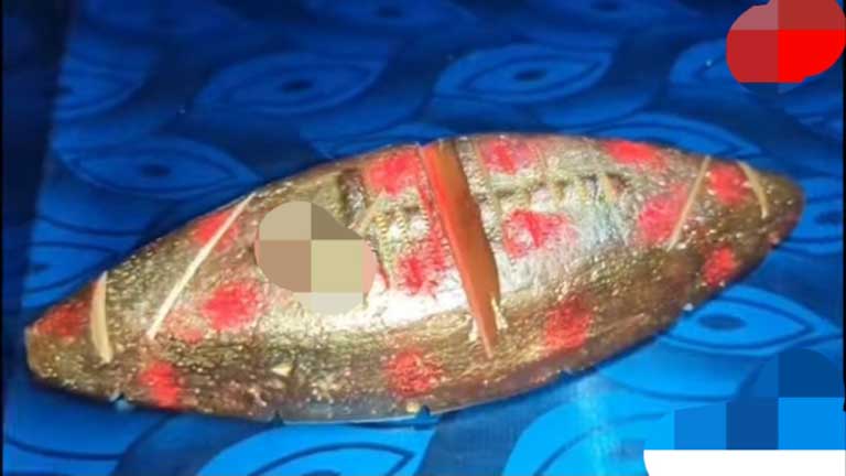असम पुलिस द्वारा मोरीगांव में जब्त की गई नकली सोने की नाव और गिरफ्तार किए गए ठगों सुमित पाटिल और प्रवीण कुली की फाइल फोटो।