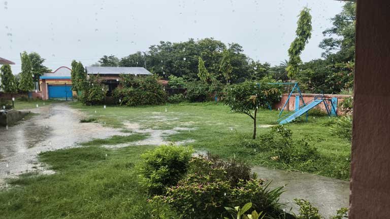 भागलपुर में मानसून की झमाझम बारिश के बाद खेतों में धान की खेती की तैयारी करते खुशहाल किसान और धान का बिचड़ा डालते हुए कृषि कार्य की तस्वीर।