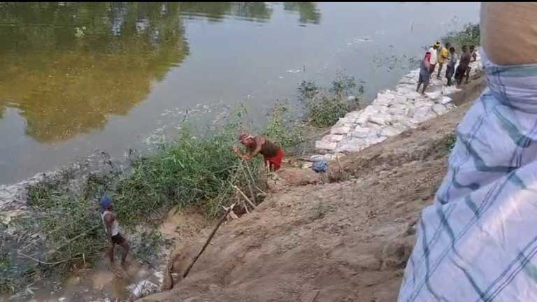 गोपालपुर में गंगा नदी के बढ़ते जलस्तर के कारण ब्रह्मोत्तर बांध पर जल संसाधन विभाग द्वारा की जा रही मरम्मत और फ्लड फाइटिंग का काम।